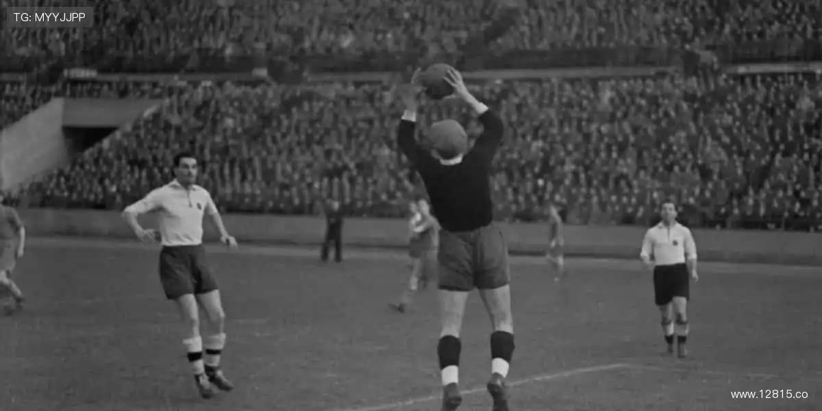 影院体验，尽在指尖！📱🌟